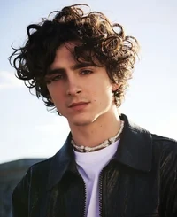 Timothée Chalamet 