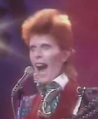 Ziggy Stardust