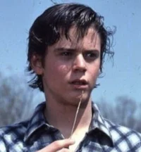 Ponyboy Curtis 