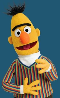 Bert