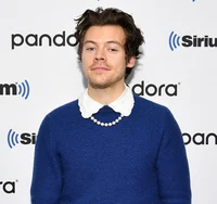 harry styles - 2020