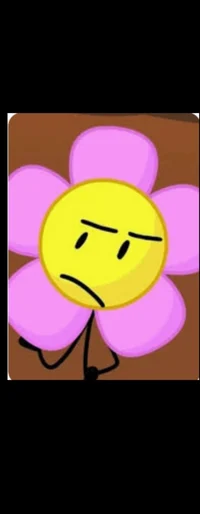 Flower BFB
