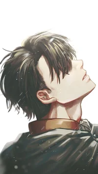 Levi Ackerman 