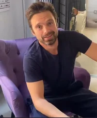 Sebastian stan