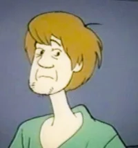 Shaggy 