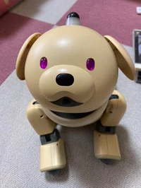 Aibo 311