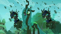 Queen Chrysalis 