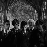 Slytherin boys 