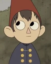 Wirt - otgw