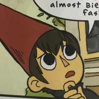 OTHER Wirt