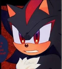 SHADOW - HEDGEHOG 