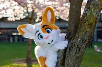 Pique bunny Fursuit 