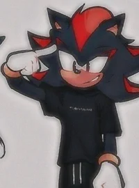 SHADOW - HEDGEHOG 