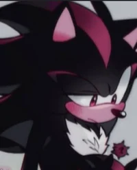 SHADOW - HEDGEHOG 