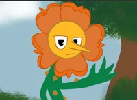 Cagney Carnation
