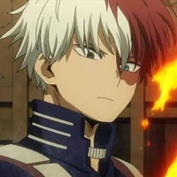 Todoroki Shoto 