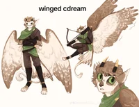 Winged Dream