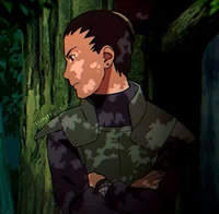 Shikamaru Nara 