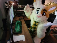Pique bunny Fursuit 