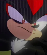 SHADOW - HEDGEHOG 