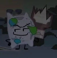 PILLOW - TPOT - BFB