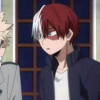 Shoto Todoroki
