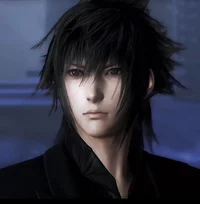 Noctis Lucis Caelum