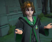 Hogwarts Mystery