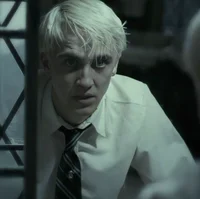 Draco - Yule Ball