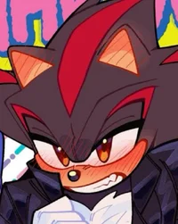 SHADOW - HEDGEHOG 