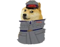 Brazil Doge warrant