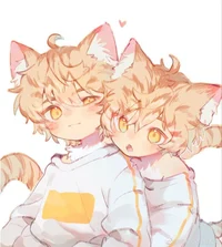 Cat twins