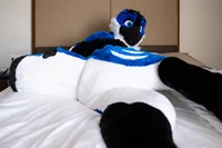 Avalon jay Fursuit 