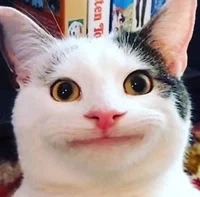 Белуга