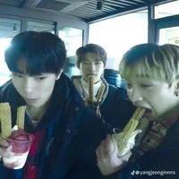 Stray Kids