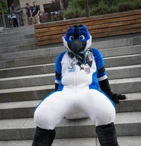 Avalon jay Fursuit 
