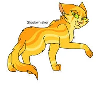Sleekwhisker