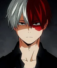 Shoto Todoroki