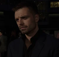 Sebastian Stan 