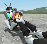 Mr Puzzles and Leggy