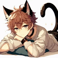 Lazy Catboy