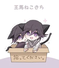 Two kokichi cats