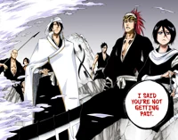 Bleach RP