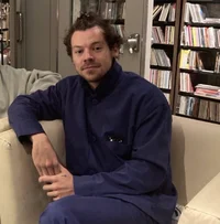 harry styles - 2023