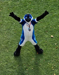 Avalon jay Fursuit 