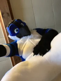 Avalon jay Fursuit 
