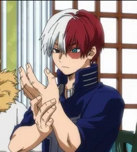 Shoto Todoroki