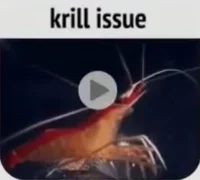 Krill issue