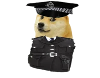 Constable doges 