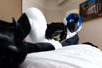 Avalon jay Fursuit 
